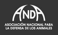 andajpg