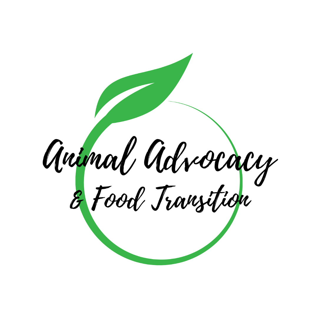 logo-aa-ft-black-transparentpng